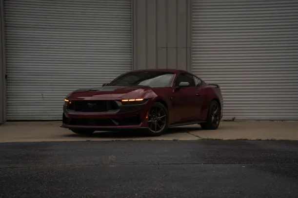 BlueLeo Casino Android/iOS Forrit